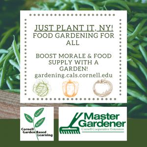 Just Plant It, NY! Food Gardening For All