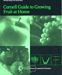 Cover of Cornell Guide to Growing Fruit